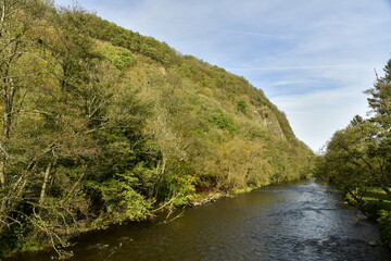 L'Amblève traversant une zone forestière entre Remouchamp et Aywaille au sud de Liège 