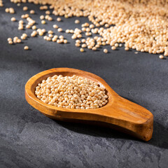 Pearl millet organic seeds in spoon - Healthy food
