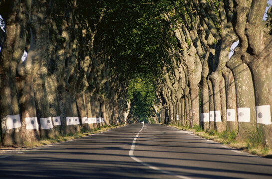 Road, Provence, France