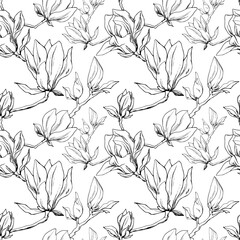 Drawn magnolias seamless pattern. Magnolia silhouette on a white background. Vector floral print. Home textiles. Spring. Flowering trees. ink. Sketch.