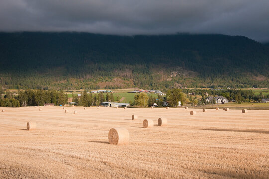Hay Bales on Farm Near Vernon, British Columbia, Canada