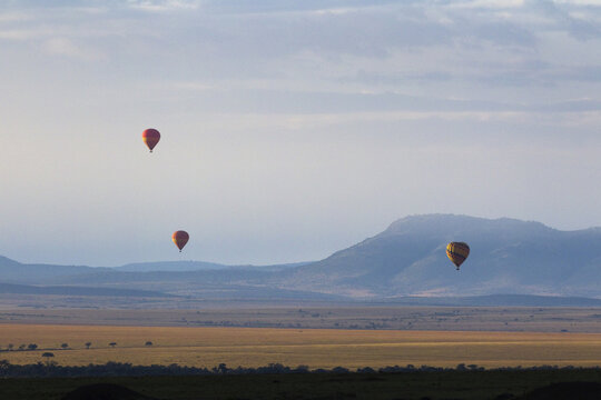 Hot Air Balloons, Masai Mara National Reserve, Narok District, Rift Valley Province, Kenya