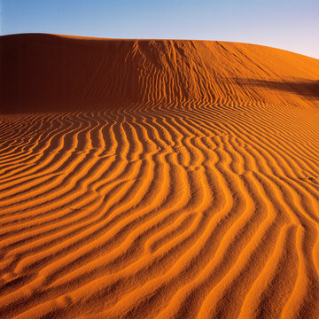 Desert, Red Sand Dune