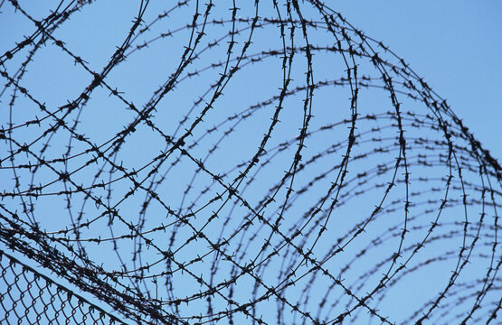 Barbed Wire Fence