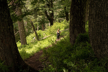Outdoor activities. Hiking in the woods. View of a woman hiking along the path in the mountain forest.