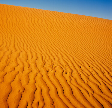 Sand Dunes, Simpson Desert, Australia