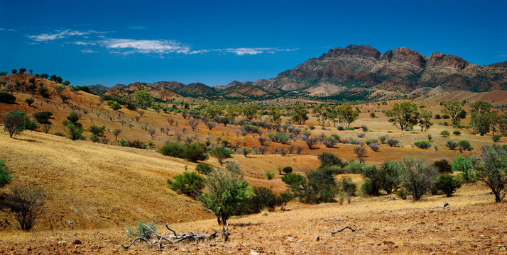 Landscape, Flinders Ranges, Wilpena Pound, Australia