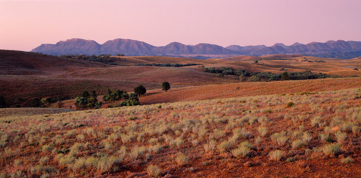 Landscape, Flinders Ranges, Wilpena Pound, Australia