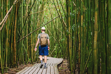 Man with a backpack walking through the bamboo forest.