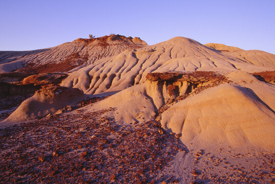 Dinosaur Provincial Park, Alberta, Canada
