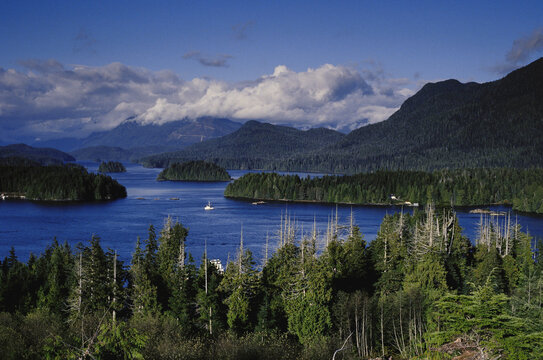 Tofino Harbour, Vancouver Island, British Columbia, Canada