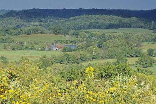 Overview of Farmland, Natchez Trace Parkway, Tennessee, USA