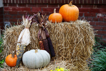 Pumpkins and Corn with Hay Bale