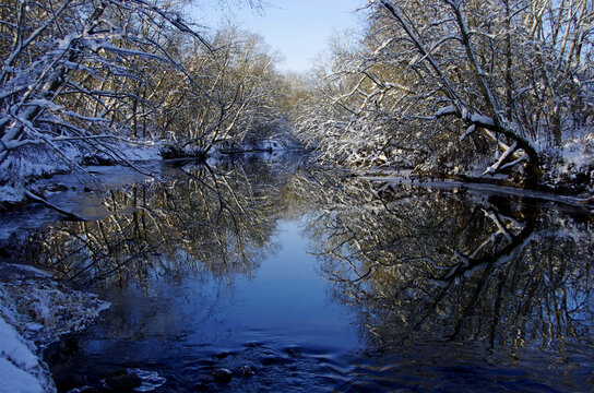 Reflection of trees in the river in winter