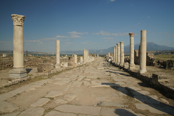 Colonnaded Street in Laodicea on the Lycus Ancient City in Denizli, Turkiye