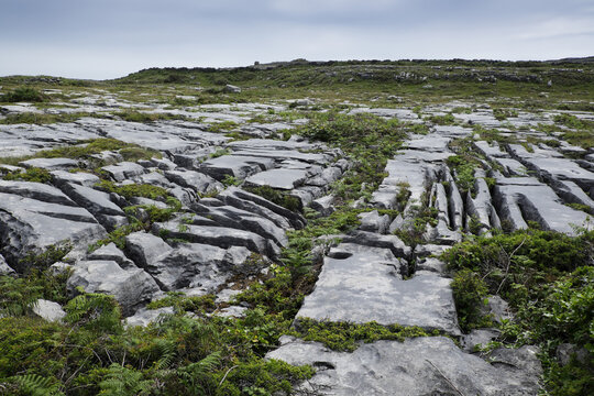 Rocky, limestone landscape, Aran Islands, Republic of Ireland