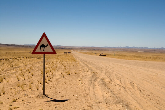 Camel Crossing Sign by Road, Solitaire, Namibia