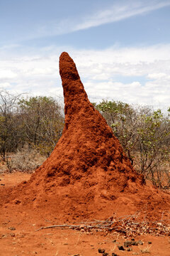 Termite Mound, Omaruru, Erongo, Namibia