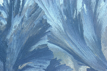 Frost on Glass, Shamper's Bluff, New Brunswick, Canada