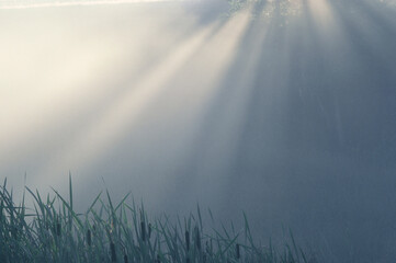 Sunrays and Mist, Kingston, New Brunswick, Canada