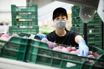 Focused female employe in protective face mask sorting fresh ripe mangoes at fruit warehouse