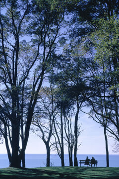 People on Bench near Trees, Goderich, Ontario, Canada