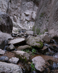 Fototapeta na wymiar The hiking path and stream flowing across the rocky canyon. 