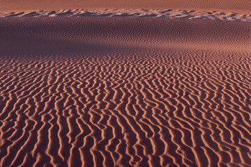 Sand Ripples Namibia