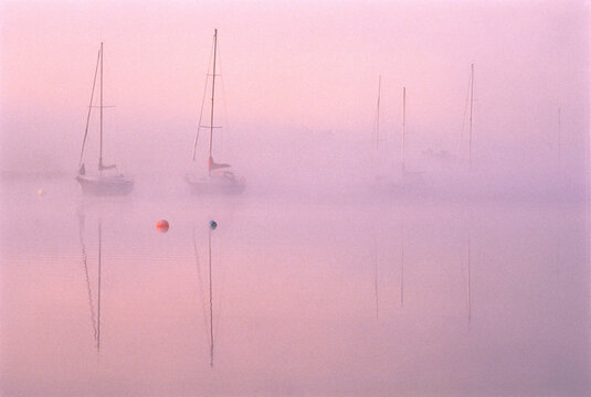 Boats in Mist at Dawn Saint John River, Gagetown New Brunswick, Canada