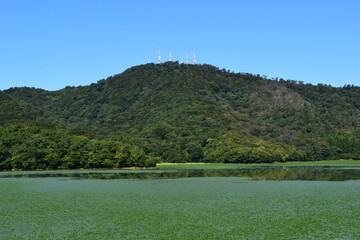 高館山 ／ 山形県鶴岡市大山にある、標高273.2mの低山です。林野庁の「自然休養林」、「森林浴の森100選」にも指定されています。高館山には、庄内地方の基幹中継局となる、山形県各放送局の鶴岡中継局があり、庄内海浜県立自然公園の一部にも指定されています。