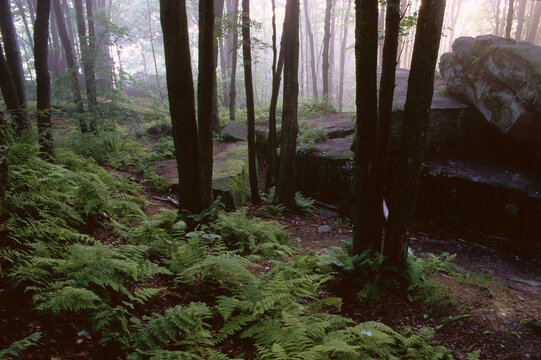 Jakes Rocks, Allegheny National Forest, Pennsylvania, USA