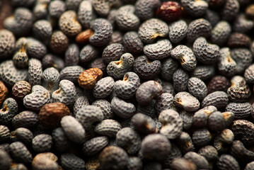A little bunch of dried poppy seeds on the table in macro close up. Nice details on the surface of the seeds.