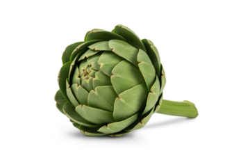 Greeen artichoke isolated on white background.