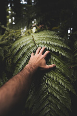 The power of nature in New Zealand 