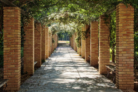 Walkway, National Garden of Athens, Zappeion, Athens, Attica, Greece