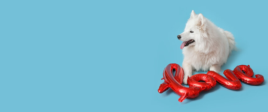 Cute Samoyed dog and balloon in shape of word LOVE on light blue background with space for text. Valentine's Day celebration