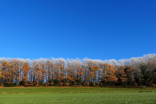 Ein frostiger Tag ohne Schnee