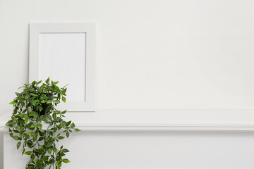 Blank photo frame and houseplant on mantelpiece near white wall