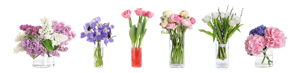 Collage with various beautiful flowers in glass vases on white background. Banner design