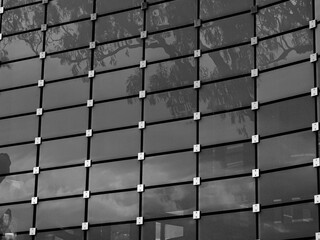 Glass grid