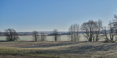 Landscape photo of a cold winter day late afternoon with naked trees taken with a medium format camera