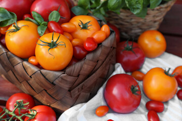 Different sorts of tomatoes on wooden bench