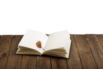 Open study book. Education concept