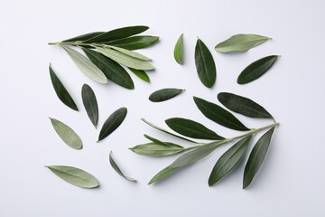 Olive twigs with fresh green leaves on white background, flat lay