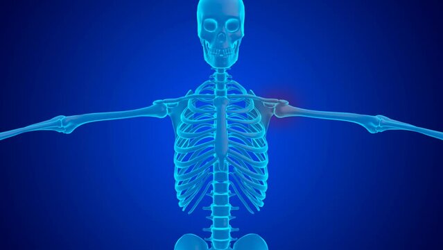 blue hologram shoulder joint pain caused by cartilage wear and tear