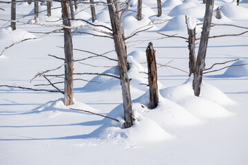 雪が積もった青い池の湖面
