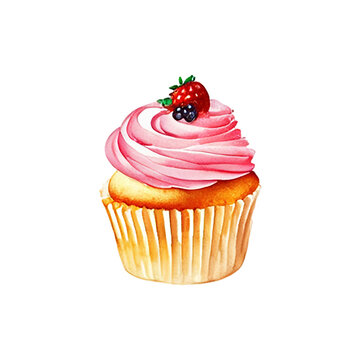 sweet cupcake hand drawn with style watercolor