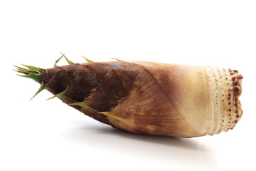 白背景の竹の子