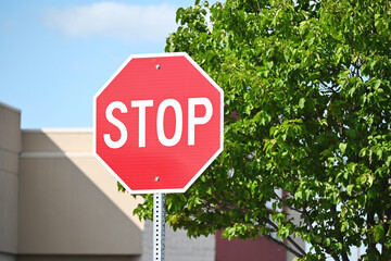 Stop Sign by Tree
