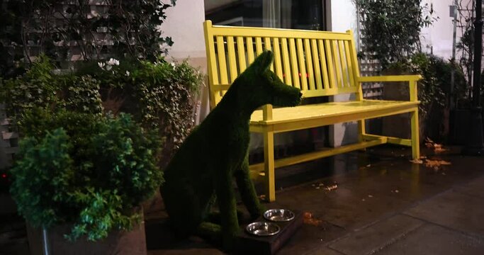 Dog made from flowers from within Mayfair next to a yellow bench, London, United Kingdom